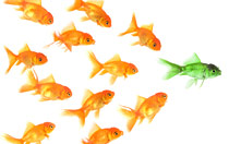 Leadership Coaching