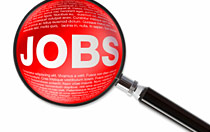 Job Search Coaching